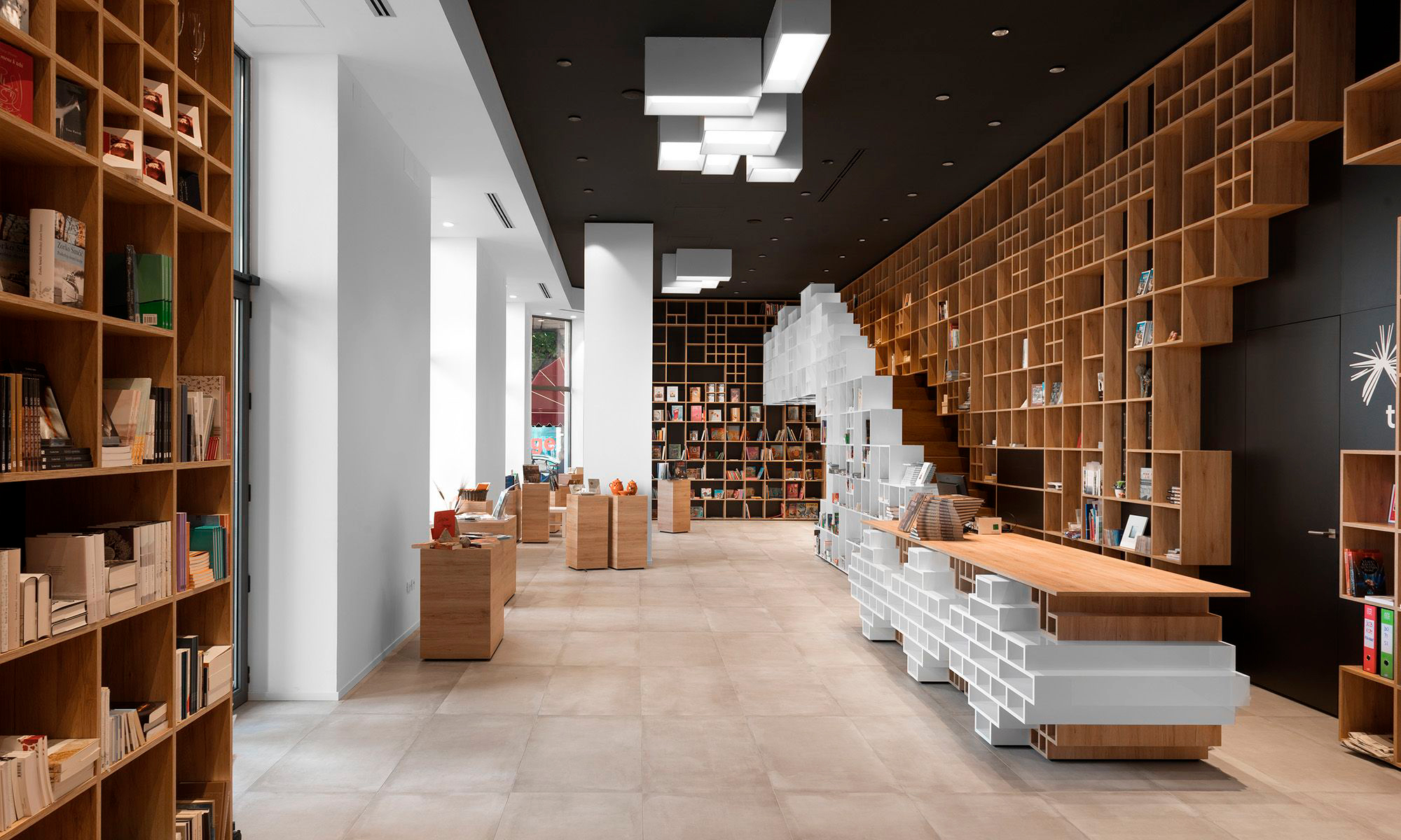 Прогулка кошки